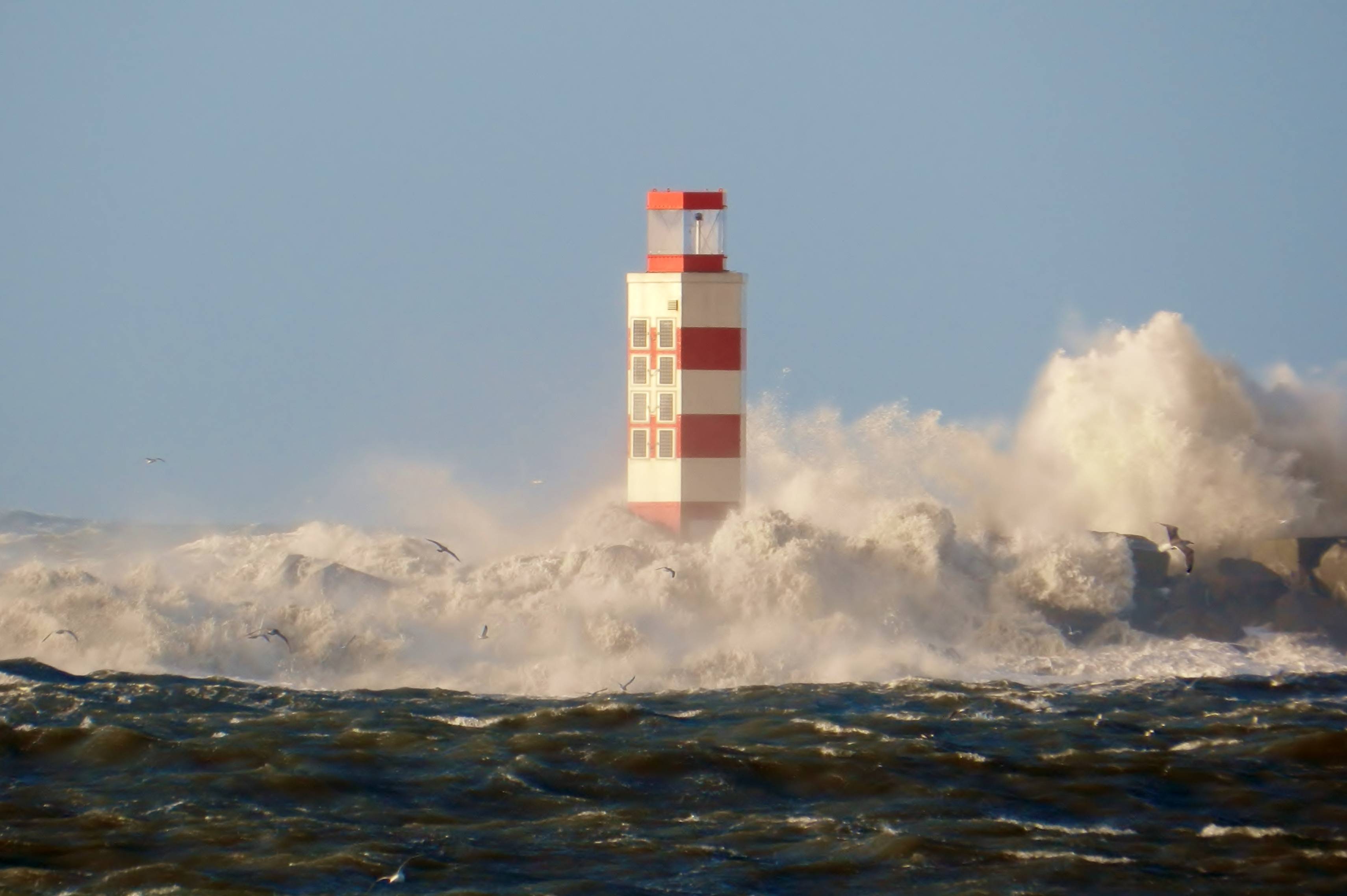 Noordpier IJmuiden 04-01-17 